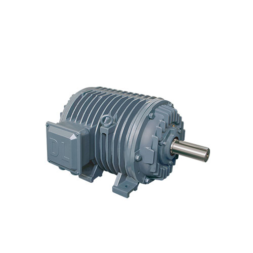 DMPG series variable frequency roller three-phase asynchronous motor