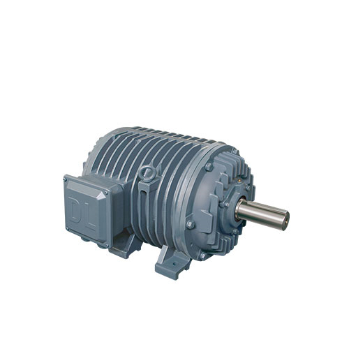 DMGP series roller road frequency conversion three-phase asynchronous motor