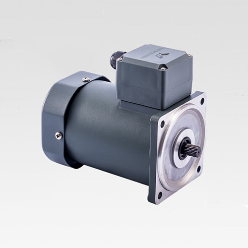 Miniature - AC standard motor (pinion)